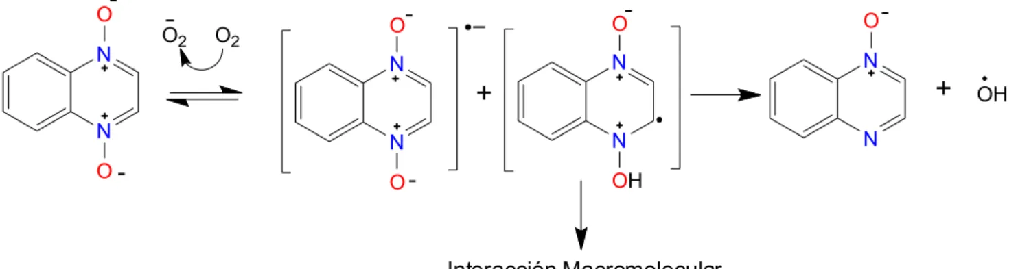 Figura 4. Reducción del grupo N-oxido a causa de una reacción macromolecular