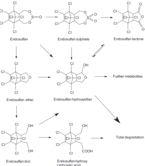 Figure 3. The proposed metabolic pathway for endosulfan in human, as published by Lee et al