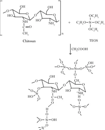 Table 3 compares the mechanical behavior of the hybrid and  nanocomposite scaffolds. The stress x strain curves for the scaffolds  containing bioactive glass nanoparticles (BGNP) revealed their  strength properties