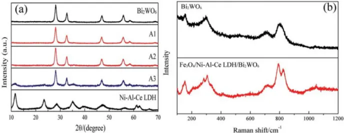 Figure 1. (a) XRD patterns of the different samples; (b) Raman spectra of the samples