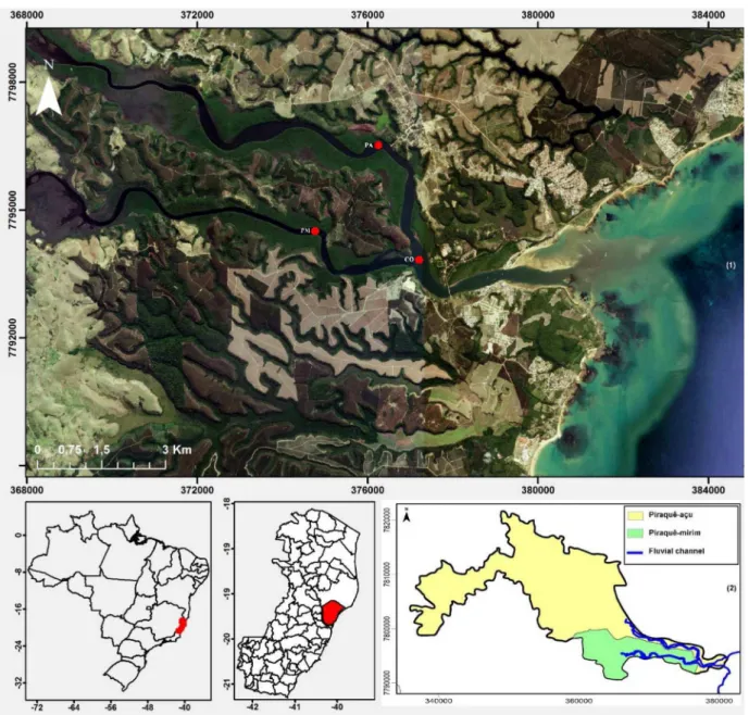 Figure 1. Location of the study area: (1) Estuarine System of Piraquê-açu and Piraquê-mirim rivers, Aracruz (ES) with sampling stations using sediment traps: 