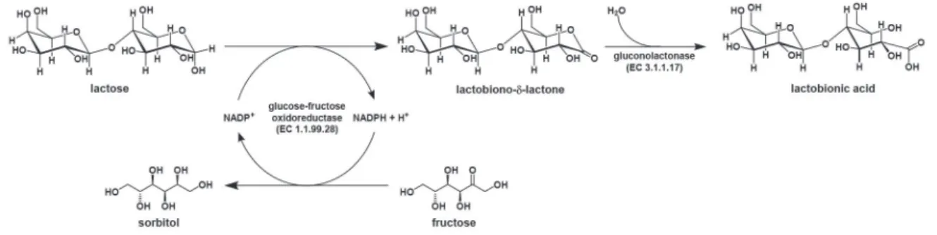 Figure 1. Enzymatic ping-pong mechanism of lactose conversion to lactobionic acid mediated by GFOR/GL system