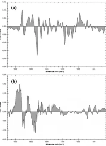 Figura 5. Loadings da componente principal 1 (a) e da componente principal  2 (b) para as amostras de lenhos carbonizados artificialmente em mufla para  as três espécies de Araucariaceae avaliadas