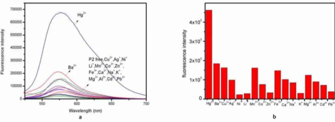 Figure 1. (a) Fluorescence spectra of P2 (10 µmol/L) in aqueous solution the presence of 10 equiv