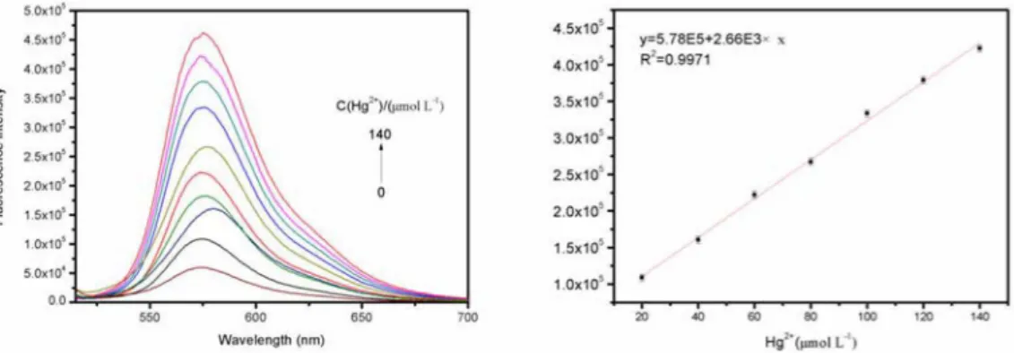 Figure 5. Benesi–Hildebrand plot ( λ ex  = 500 nm) of P2, assuming 1:1 stoi- stoi-chiometry for association between P2 and Hg 2+  in the aqueous solutions
