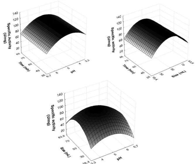 Figure 1. Reponses surfaces obtained by the experimental design CCRD 2 3  for PO extracted from SBM
