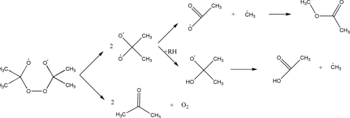 Figure 4. Reaction mechanism for the decomposition of the initial biradical derived from ACDP