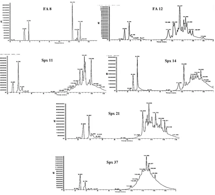 Figura 2. Cromatogramas das frações FA 8, FA 12, Spx 11, Spx 14, Spx 21 e Spx 37