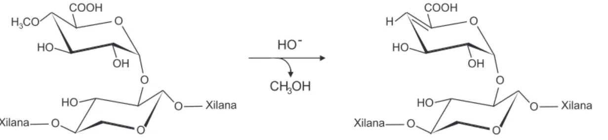 Figura 1. Formação dos HexA durante a polpação alcalina (adaptado de Li e Gellerstedt) 2