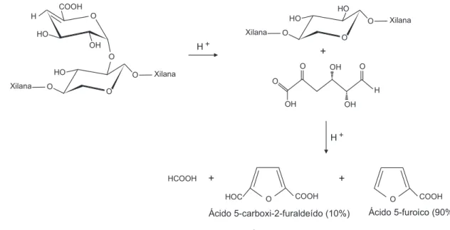 Figura 3. Formação de ácido oxálico através da reação entre os HexA e o ozônio (adaptado de Lino et al.) 11