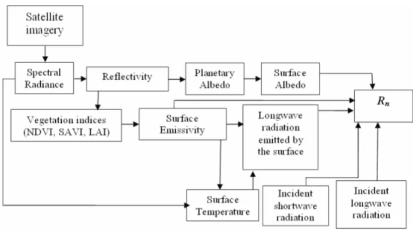 Figure 2 - Flowchart of computational steps used to obtain R n  at the land surface. ET=ETr.FET y(24)                                                                                                        (9)                                                