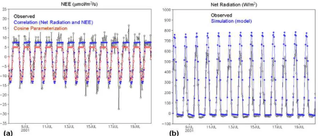 Figure 3  - For July 9 – 10, 2001, (a) comparison of parameterization based on the correlation between CO2 lux and Rnet, cosinusoidal parameterization  of CO2 lux, and observed lux, and (b) comparison of observed and modeled Rnet.