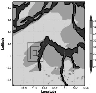 Figure 1 - Domain grids in BRAMS and model results for canopy  temperature (° C), on November 7, 2006 at 14:00 UTC