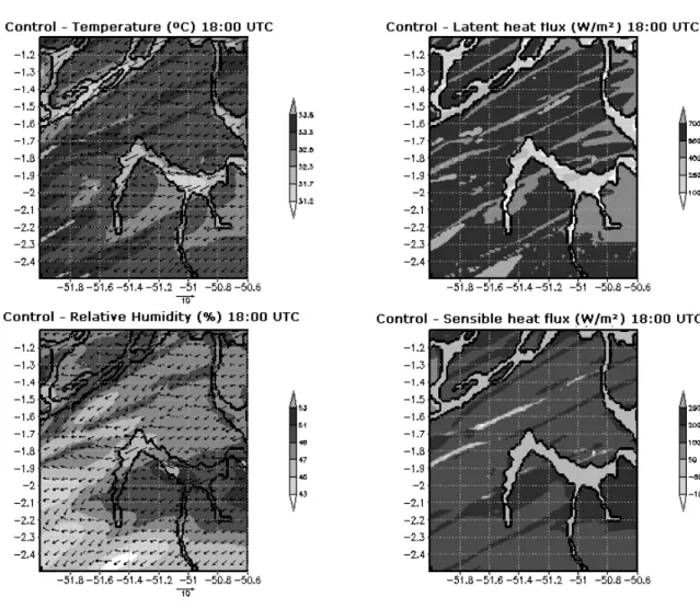 Figure 4  - Surface ields for grid 1, at the level of 24 m, at 18:00 UTC on November 7, 2006.