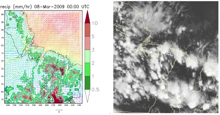 Figure 7  - Same as Fig. 06, but forecasted between 07 March 2009 18:00 UTC and 24:00 UTC (left) and GOES satellite image for 07 March 2009  at 20:00 UTC (right).