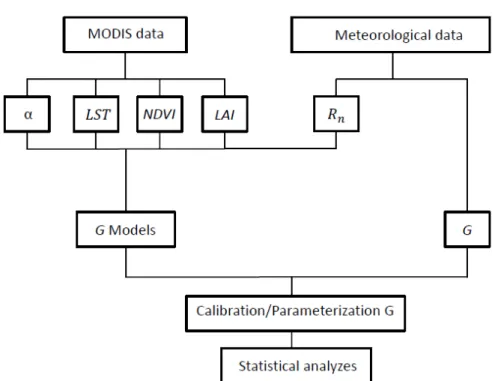 Figure 2 - Diagram of the procedure for parameterizing the soil heat lux (G) combining MODIS products as albedo (α), land surface temperature  (LST), leaf area index (LAI), normalized difference index (NDVI ) and net radiation (Rn).