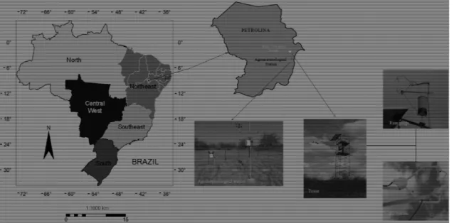 Figure 1 - Location of the study region at Petrolina municipality, Pernambuco (PE) State, Northeast Brazil