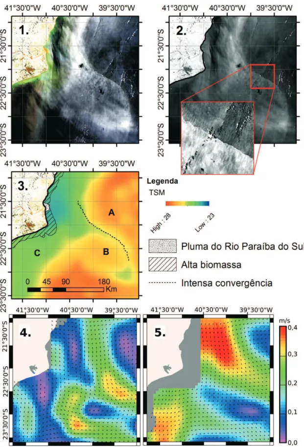 Figura 7 - Feições oceanográficas observadas em imagem MODIS Aqua em condição geométrica de sunglint de 2/1/2010 às 16h20min GMT
