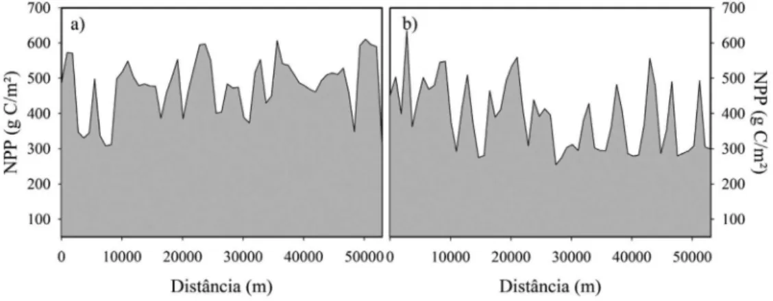 Figura 14 - Perfil 1 (transecto) referente à variação espacial da NPP anual dos anos de 2011 (a) e 2012 (b).