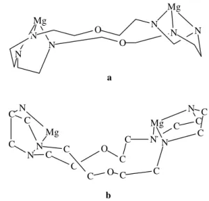 Figure 2.  (a) Extended conformer, Mg to Mg separation is 7.35 Å. (b) Bowl-shaped conformer, Mg to Mg separation is 4.95 Å.