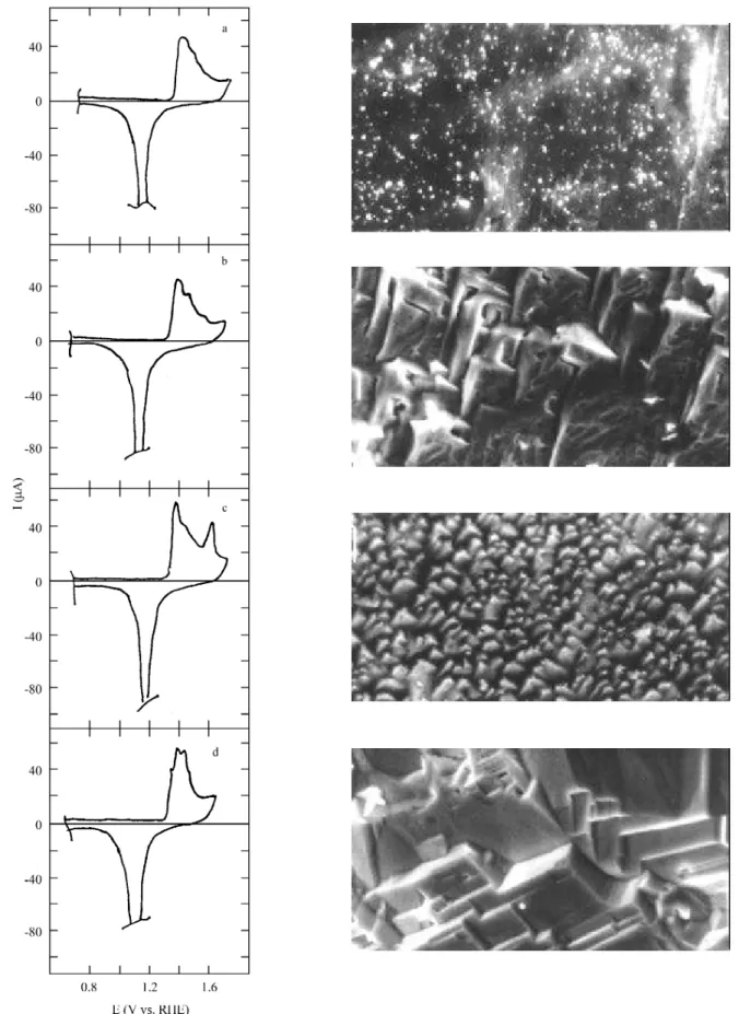 Fig ure 1. SEM mi cro graphs, 5000 x (0.1  µm), and cy clic voltammograms run at 0.1 V/s in aque ous 1 M H 2  SO 4  for: (a)  pc Au, (b) (100)-type Au, (c) (111)-type Au, and (d) (110)-type Au.