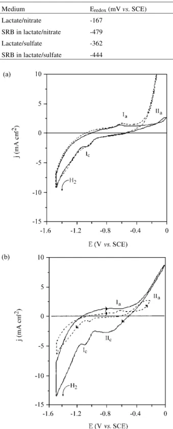 Fig ure  3. Typ i cal CVs of mild steel in (a) lac tate/ni trate and (b) lac- lac-tate/sul fate me dia, in the ab sence (- - -) and pres ence ( ____ ) of a SRB cul ture.