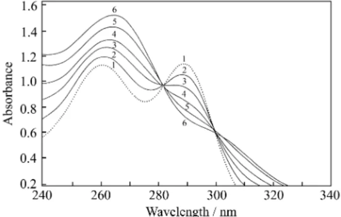 Figure 2.  Spectra of the Pb-DEDCA system obtained in a solution containing a constant ligand concentration and increasing metal  concen-trations, obeying the time between the dithiocarbamate addition and the order (after lead), for all solutions with diff
