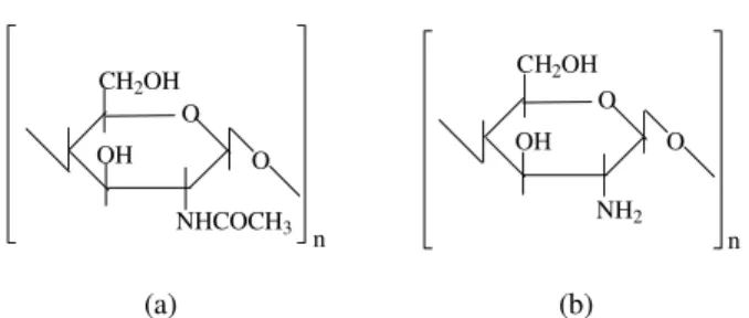 Figure 1.   (a) Structure of N-acetyl-β- D-glucosamine unit. (b) Structure of β-D-glucosamine unit.