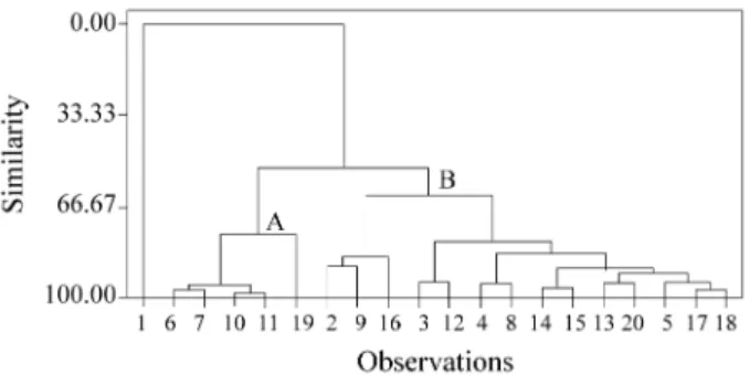 Figure 3.  PC 1 vs.  PC 2  scores plot obtained from calculated molecular descriptors; active (+) and inactive (°).