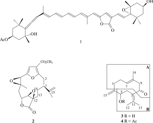 Figure 1. A  and  B  = partial structures for  3 , deduced by 2D NMR experiments.