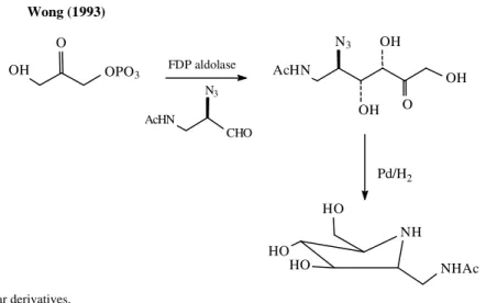 Figure 6.  Design of aza sugar derivatives.
