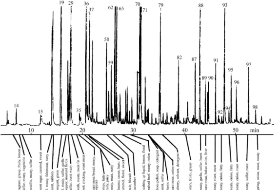 Figure 1.  Gas Chromatogram of headspace volatiles collected from 5’-IMP/cysteine model system heated at pH 3.0, showing a summary of the aromas detected in the polar column effluent