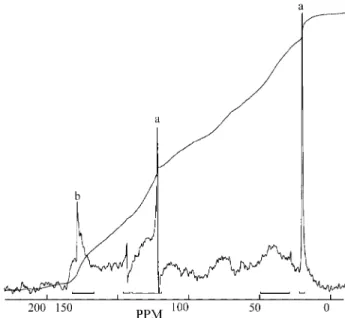 Figure 3.  13 C-NMR spectrum of the studied Rio Negro humic substances.