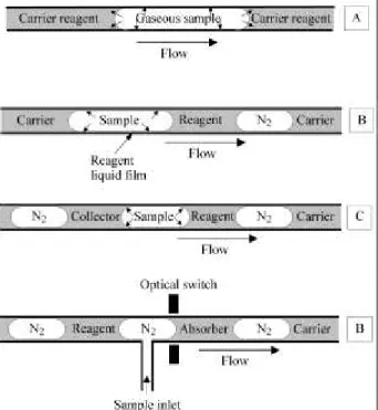 Figure 4.  A, Flow pattern obtained in a flow injection (FI) system used for gaseous sample analysis.; B, Flow pattern obtained in a  monoseg-mented flow system employed for gaseous sample determination; C, bisegmented system employing continuous flow and 