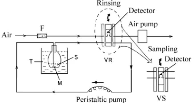 Figure 1.  Schematic diagram of the flow system with the capacitance flow-through detector