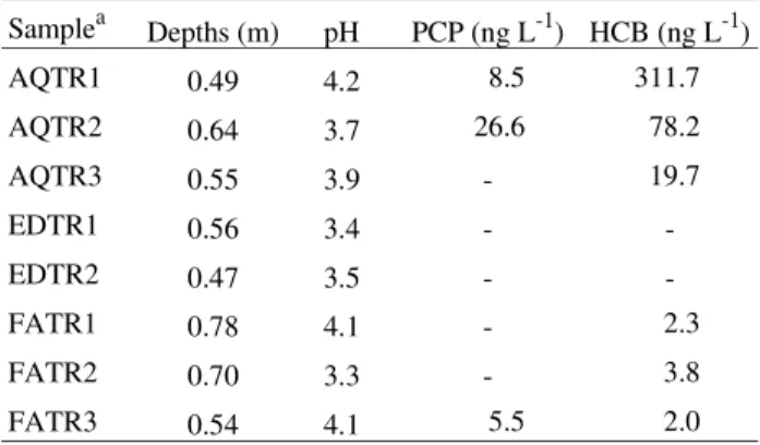 Figure 2. Gas chromatogram of PCP standard submitted to diferent derivatization reactions with (A) diazomethane and (B) acetic anhydride.