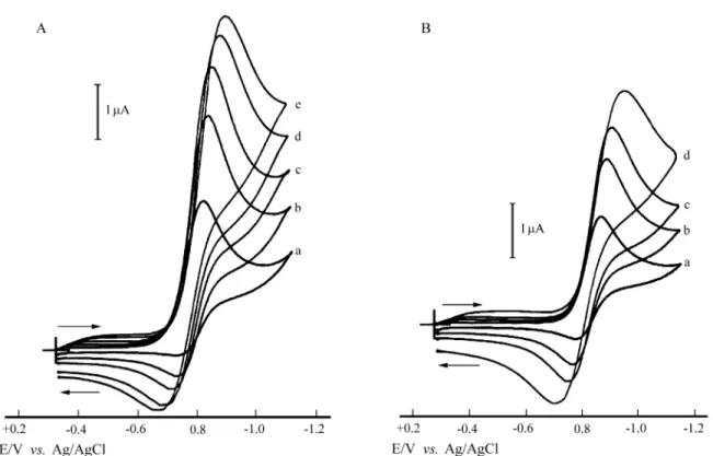Figure 6.  Cyclic voltammograms for first reduction step of 0.6 mmol L -1  MTZ at several scan rates in (A) DMF 30%/citrate buffer (pH 7.4); (B) DMF 50%/citrate buffer (pH 7.4)