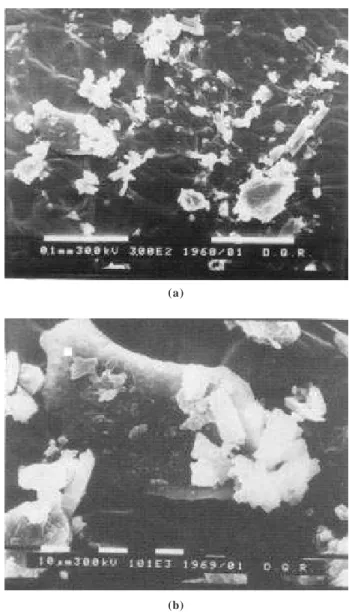 Figure 1.  Studies related to nitric acid concentration for prepare the slurries samples.