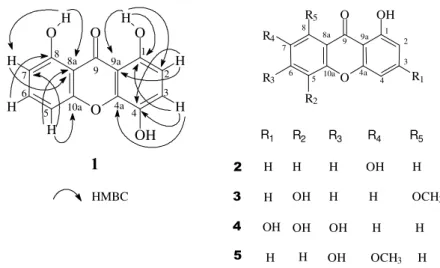 Figure 1.  HMBC observed correlations of  1 and structural formulas of compounds  2,  3,  4 and  5.