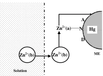 Figure 8. Mechanism proposed to explain the oxidation-reduction process of Zn 2+  in the presence of lambda phage DNA
