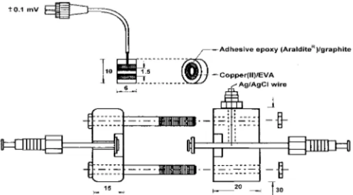Figure 1. Scheme of the cell and tubular electrode used in flow system.