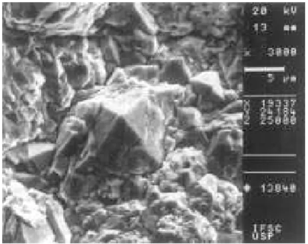 Figure 6.  SEM image of the surface of the Ti/PbO 2  electrode ob- ob-tained by electrodeposition
