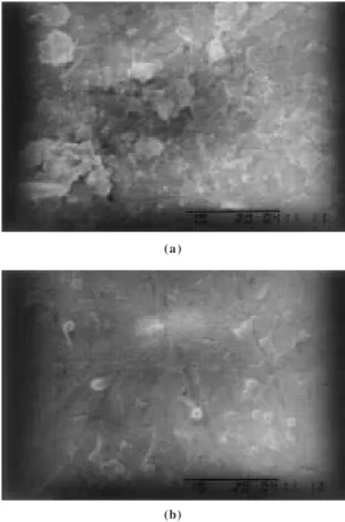 Figure 3.  Scanning micrographies of PPy-DS films synthesised with synthesis current density J = 1.0 mA cm-2 and charges Q = 290 (a), 600 (b) and 1200 mC cm-2 (c)
