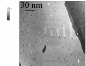 Figure 3. STM image of 5,6 - DMU adsorbed on Au(111) in 50 m mol L -1 H 2 SO 4  at +100 mV (vs SCE)