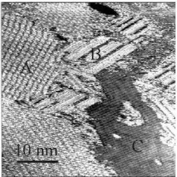 Figure 6. STM image of 56DMU extracted and filtered from Figure 5 to show unitary cell.