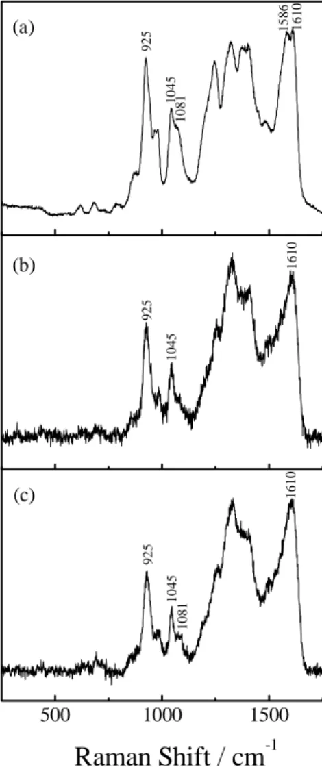 Figure 1. Raman spectra of (a) Polypyrrole film prepared from 0.1 mol L -1 KCl aqueous solution, (b) Polypyrrole film formed from 0.1 mol L -1  H 2 O/