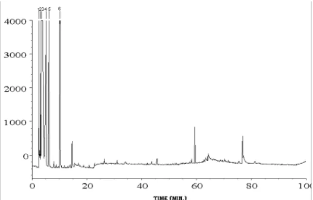 Figure 1.  HRGC-FID chromatogram of a  cachaça sample obtained by direct injection. HP-FFAP chromatographic column  (50m x 0.2µm I.D