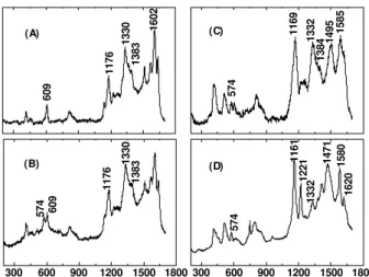 Figure 1 shows  ex-situ Raman spectra of different prepa- prepa-rations of polyaniline