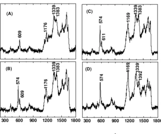 Figure 4. In-situ  UV-vis spectra of primarily doped PANI/CSA film as a function of potential: (A) –0.2 V, (B) +0.2 V, (C) +0.3 V, (D) +0.5 V, (E) +0.75 V and (F) +0.8 V
