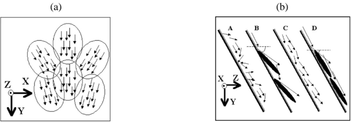 Figure 7. a) molecular domains representation; b) scheme of the flow at the interface showing microturbulence (A, B) and microlaminarity (C, D).